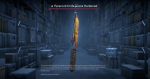 ★ Paracord Knife | Case Hardened (Battle-Scarred) Screenshot