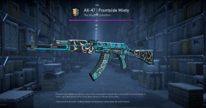 AK-47 | Frontside Misty (Field-Tested) Screenshot