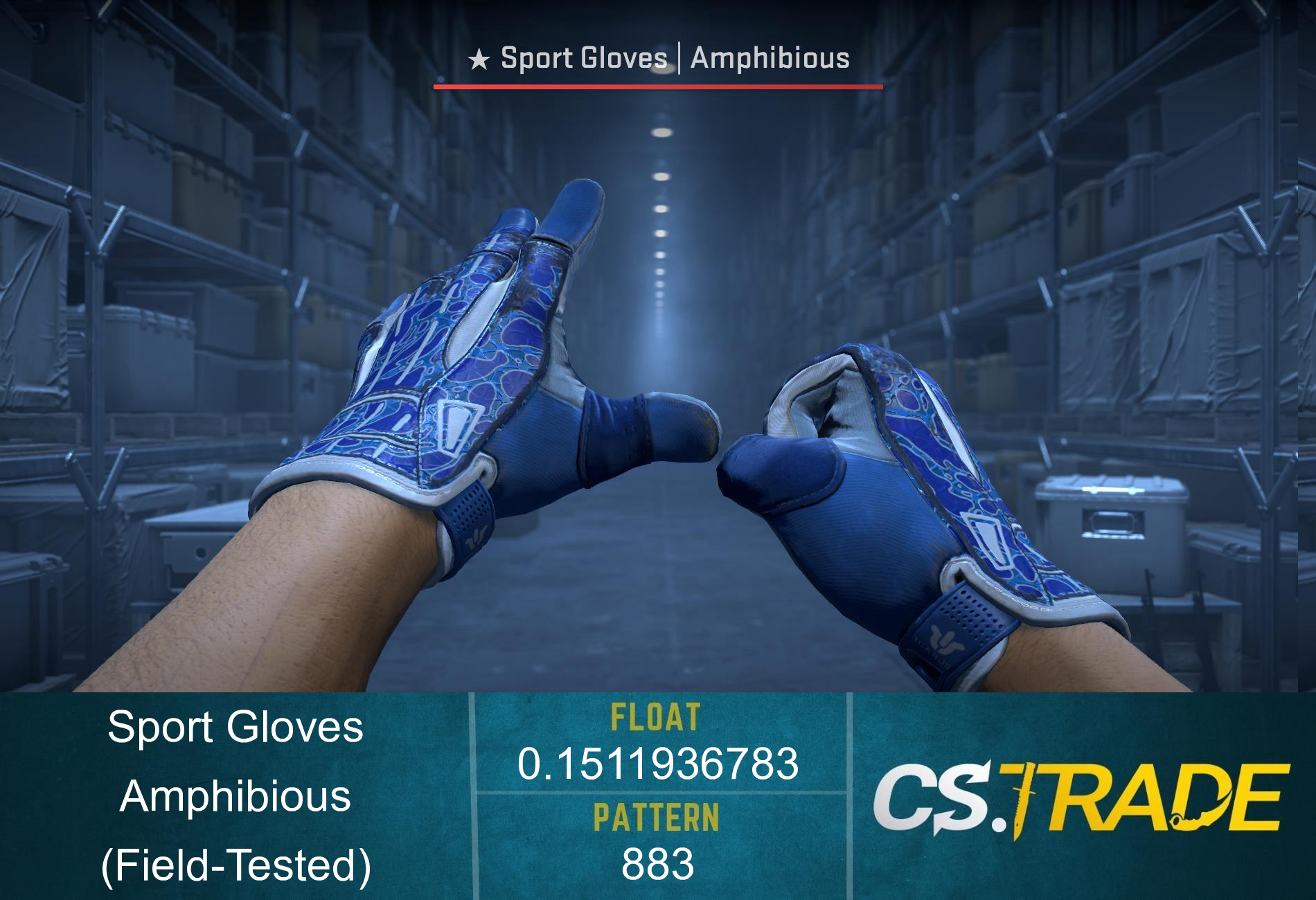 ★ Sport Gloves | Amphibious (Field-Tested) Screenshot