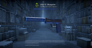 USP-S | Blueprint (Minimal Wear) Screenshot