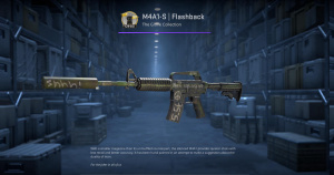 M4A1-S | Flashback (Factory New) Screenshot