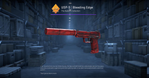 USP-S | Bleeding Edge (Factory New) Screenshot