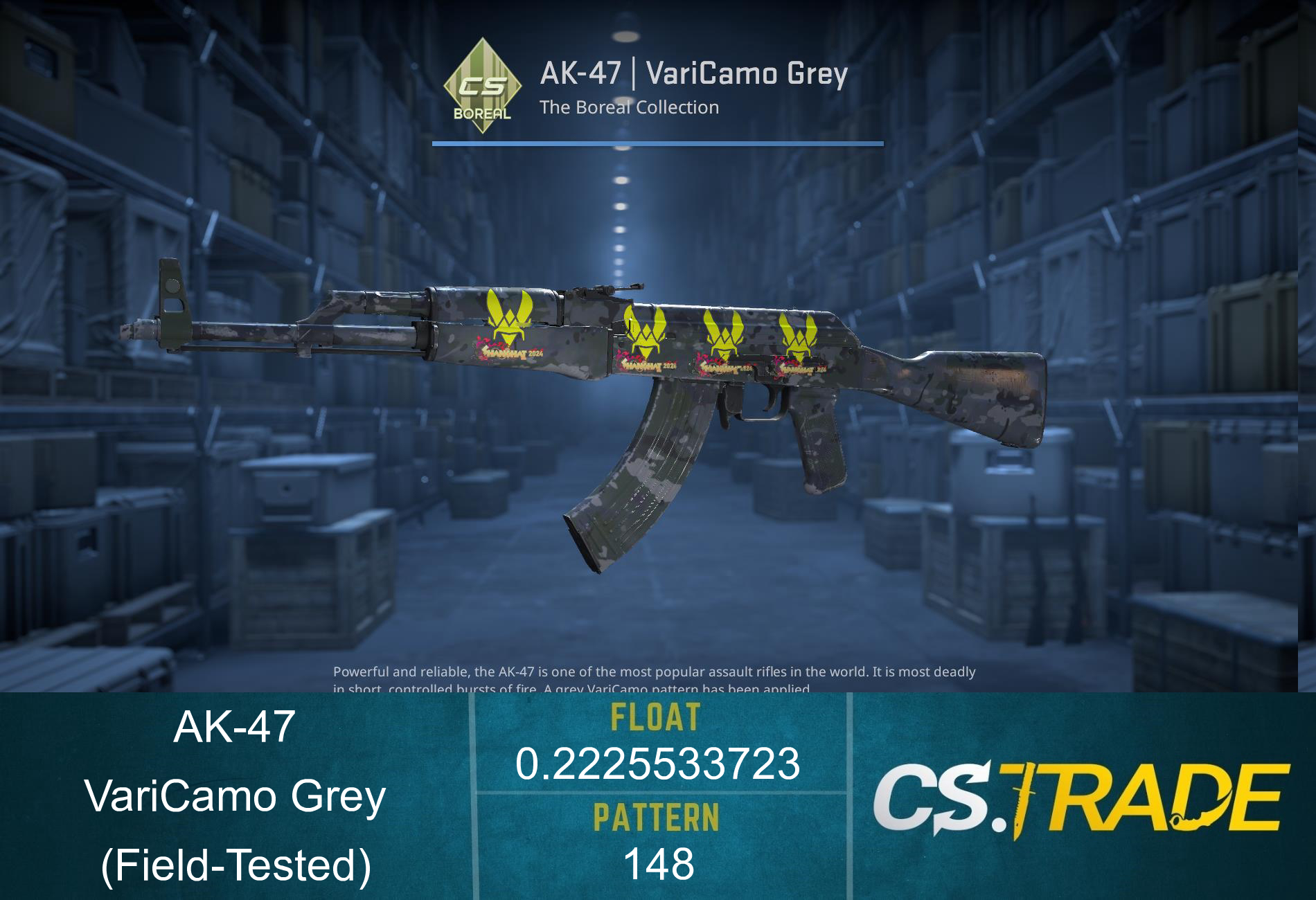 AK-47 | VariCamo Grey (Field-Tested) Screenshot