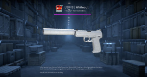 USP-S | Whiteout (Field-Tested) Screenshot