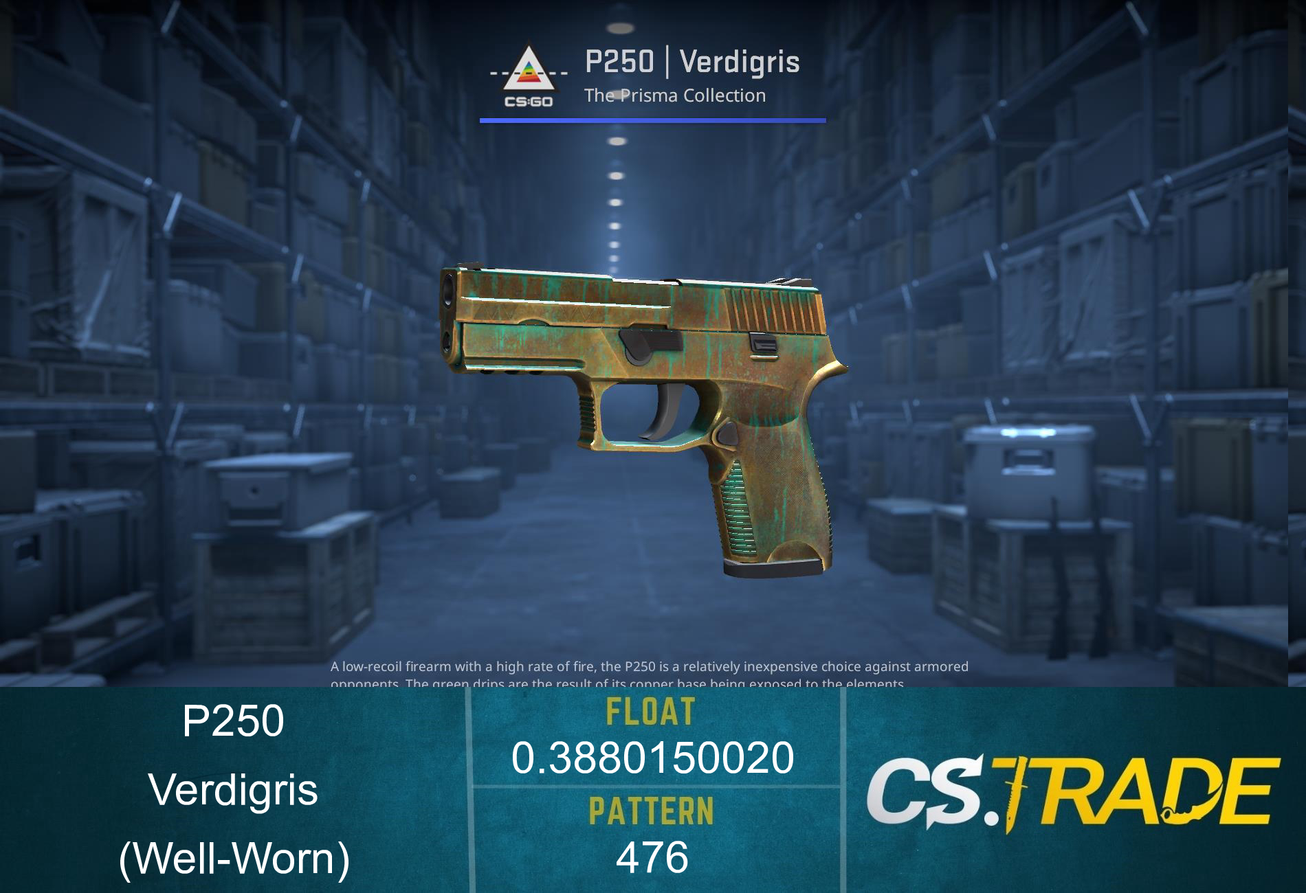P250 | Verdigris (Well-Worn) Screenshot