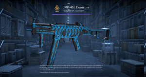 UMP-45 | Exposure (Factory New) Screenshot