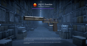 USP-S | Guardian (Factory New) Screenshot