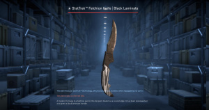 ★ StatTrak™ Falchion Knife | Black Laminate (Field-Tested) Screenshot