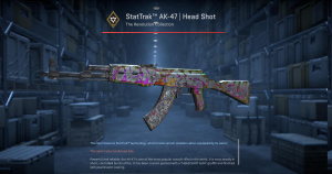 StatTrak™ AK-47 | Head Shot (Well-Worn) Screenshot
