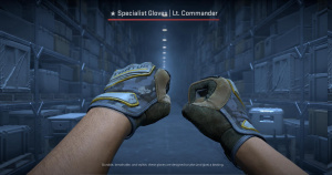 ★ Specialist Gloves | Lt. Commander (Battle-Scarred) Screenshot