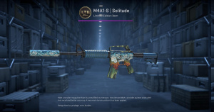 M4A1-S | Solitude (Minimal Wear) Screenshot