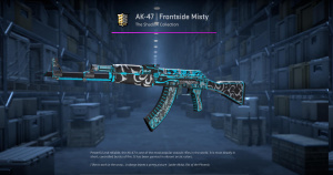 AK-47 | Frontside Misty (Well-Worn) Screenshot