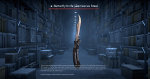 ★ Butterfly Knife | Damascus Steel (Factory New) Screenshot