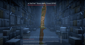★ StatTrak™ Bowie Knife | Forest DDPAT (Field-Tested) Screenshot