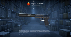USP-S | Guardian (Factory New) Screenshot