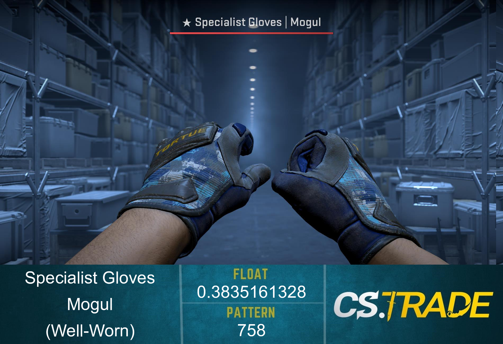 ★ Specialist Gloves | Mogul (Well-Worn) Screenshot