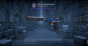 USP-S | Royal Guard (Minimal Wear) Screenshot