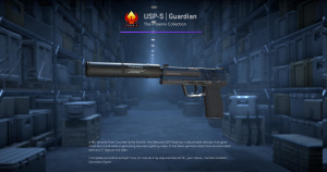 USP-S | Guardian (Factory New) Screenshot