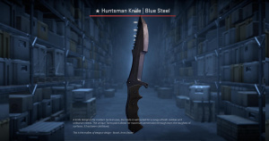 ★ Huntsman Knife | Blue Steel (Field-Tested) Screenshot