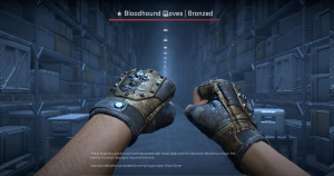 ★ Bloodhound Gloves | Bronzed (Battle-Scarred) Screenshot