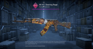 AK-47 | Searing Rage (Factory New) Screenshot