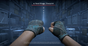 ★ Hand Wraps | Overprint (Battle-Scarred) Screenshot