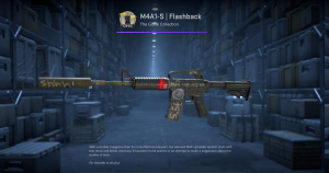 M4A1-S | Flashback (Well-Worn) Screenshot