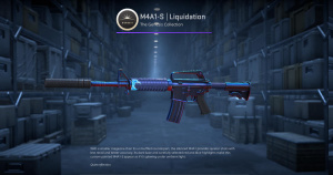 M4A1-S | Liquidation (Minimal Wear) Screenshot