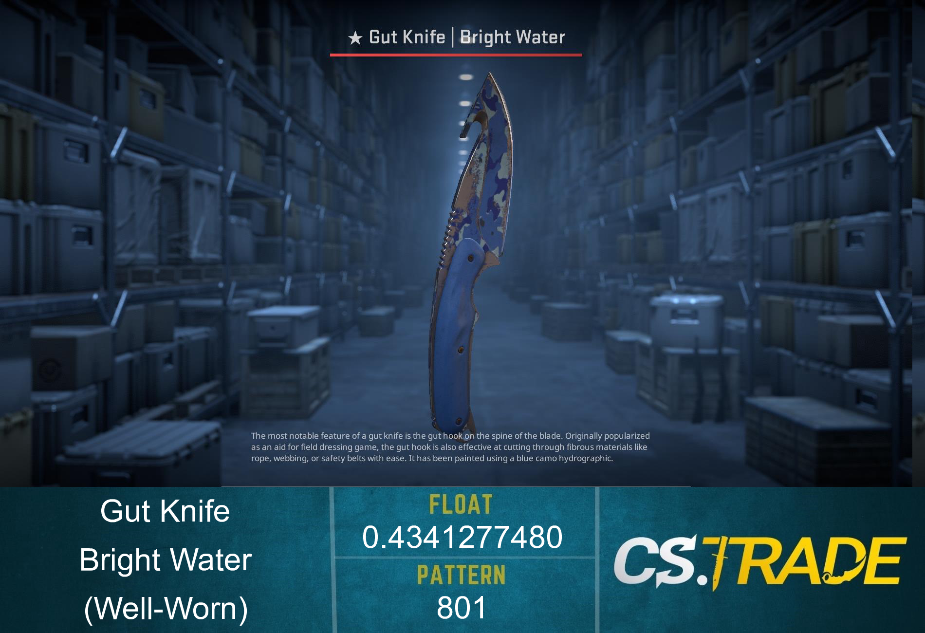 ★ StatTrak™ Gut Knife | Bright Water (Well-Worn) Screenshot