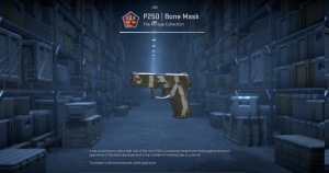P250 | Bone Mask (Field-Tested) Screenshot