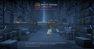 M4A1-S | Solitude (Minimal Wear) Screenshot