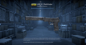 USP-S | Pathfinder (Factory New) Screenshot