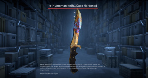 ★ Huntsman Knife | Case Hardened (Field-Tested) Screenshot