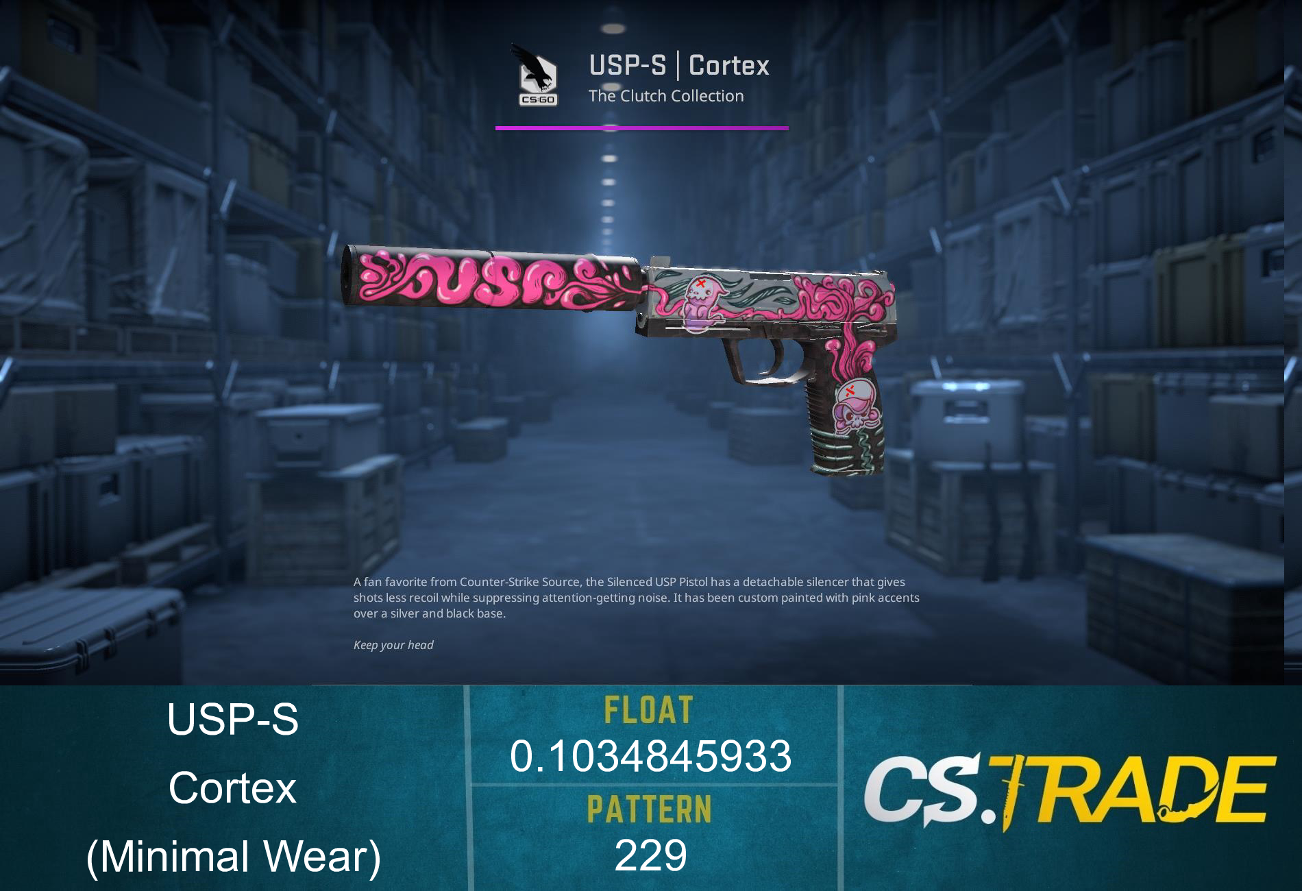 USP-S | Cortex (Minimal Wear) Screenshot