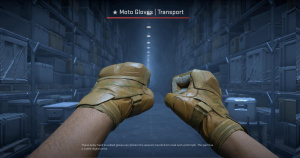 ★ Moto Gloves | Transport (Field-Tested) Screenshot