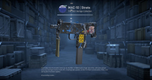 MAC-10 | Strats (Factory New) Screenshot