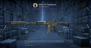 M4A1-S | Flashback (Well-Worn) Screenshot
