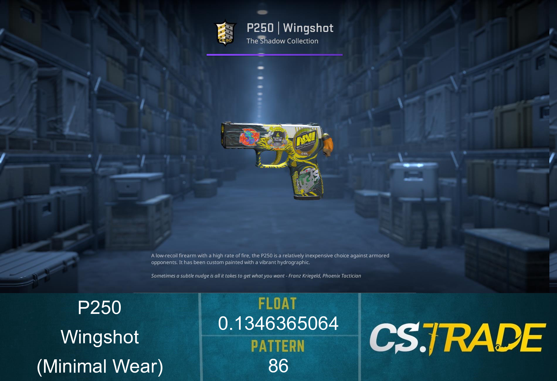 P250 | Wingshot (Minimal Wear) Screenshot