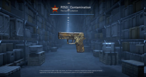 P250 | Contamination (Field-Tested) Screenshot