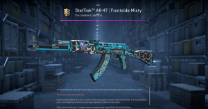 StatTrak™ AK-47 | Frontside Misty (Field-Tested) Screenshot