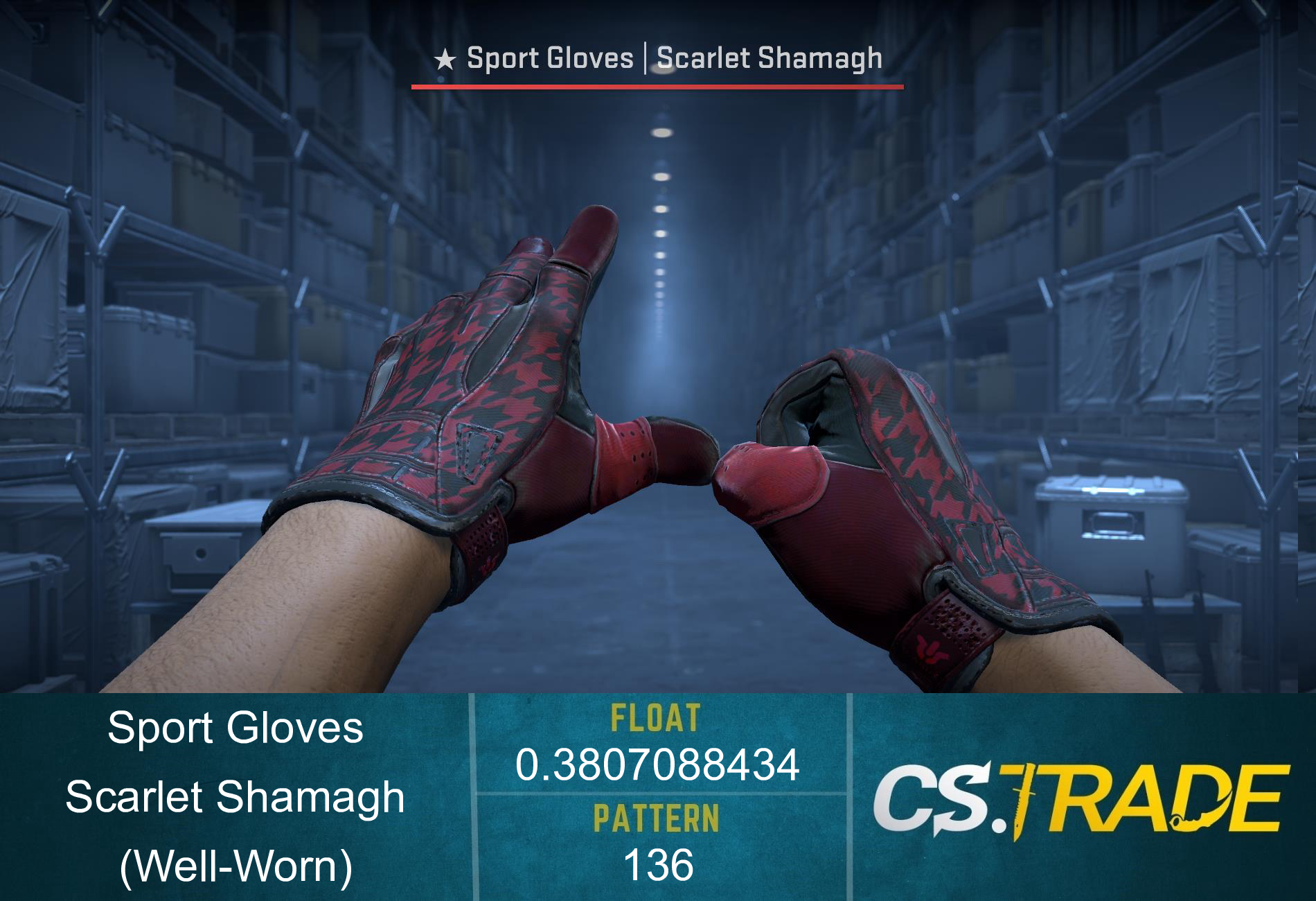 ★ Sport Gloves | Scarlet Shamagh (Well-Worn) Screenshot
