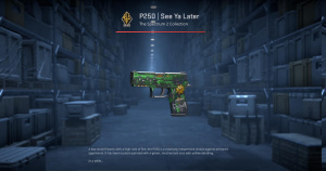 P250 | See Ya Later (Battle-Scarred) Screenshot