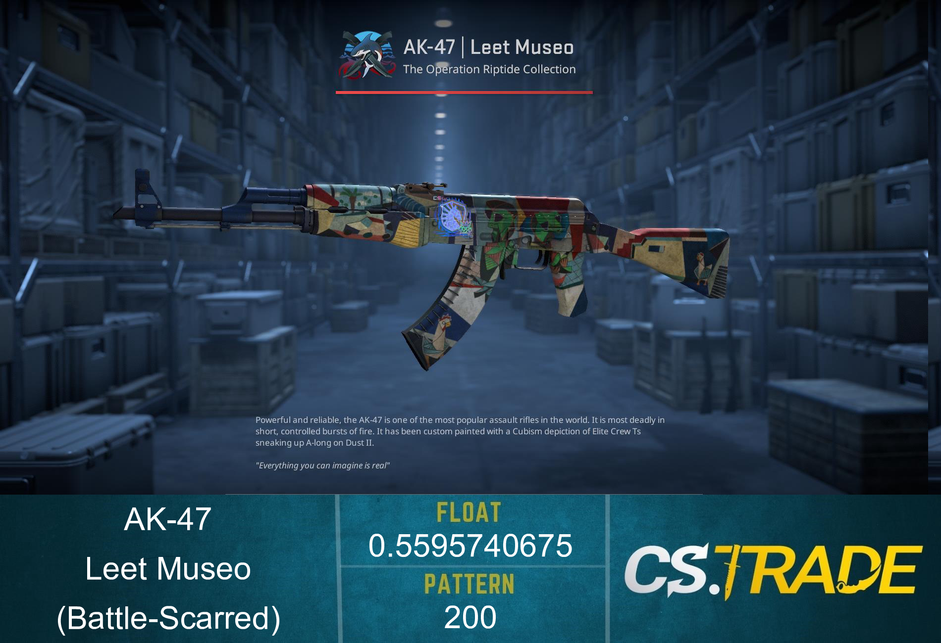 StatTrak™ AK-47 | Leet Museo (Battle-Scarred) Screenshot