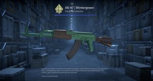 AK-47 | Wintergreen (Factory New) Screenshot