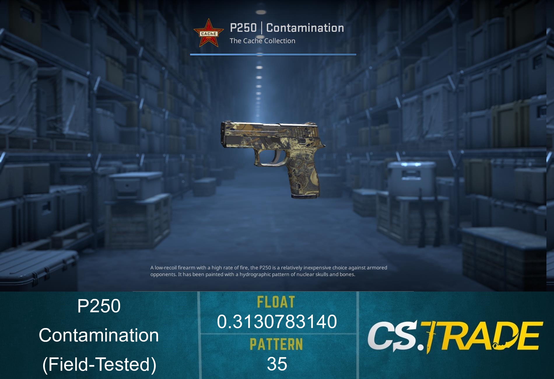 P250 | Contamination (Field-Tested) Screenshot