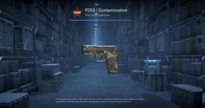 P250 | Contamination (Field-Tested) Screenshot
