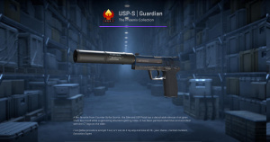 USP-S | Guardian (Factory New) Screenshot