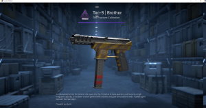 Tec-9 | Brother (Factory New) Screenshot