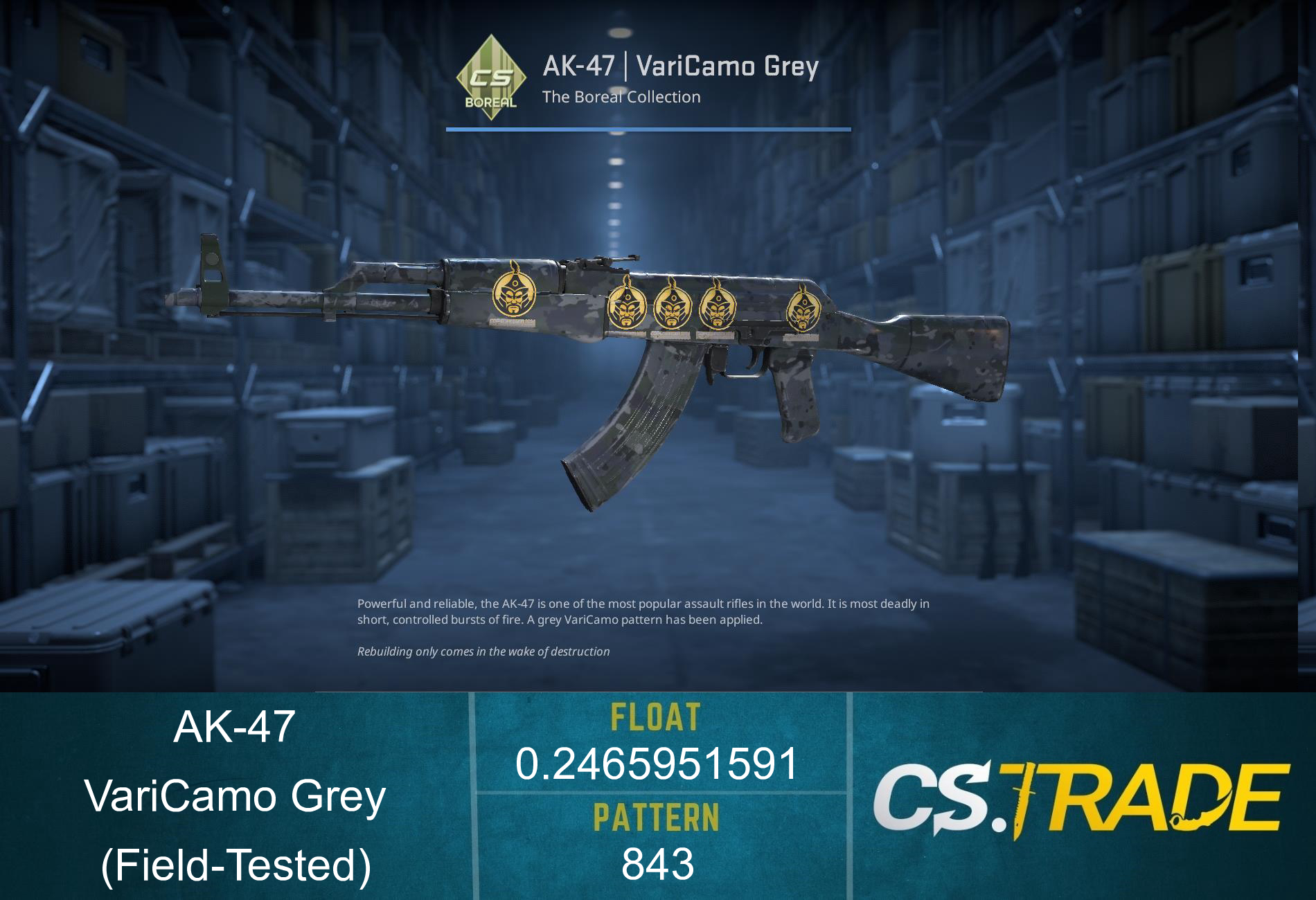 AK-47 | VariCamo Grey (Factory New) Screenshot