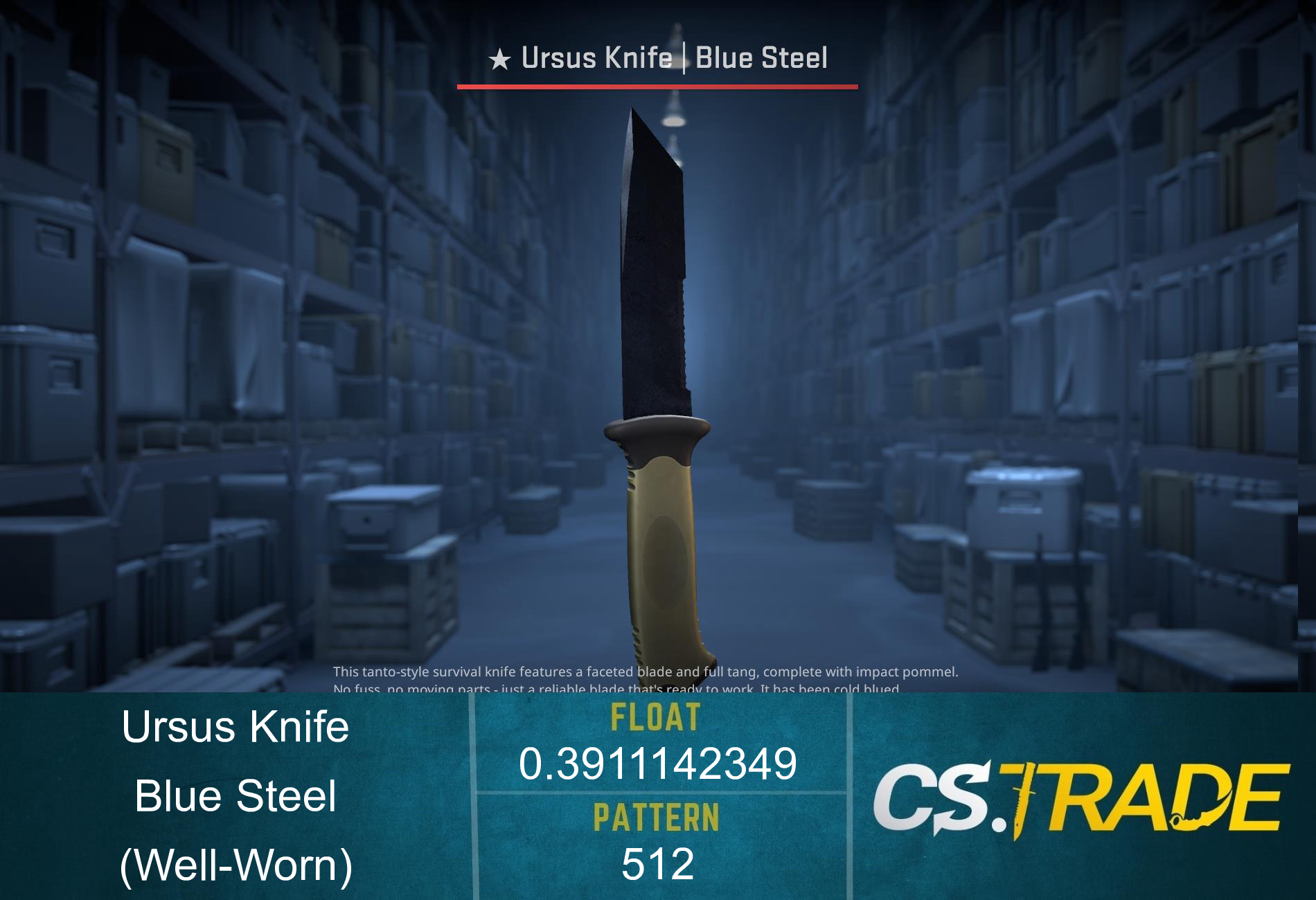 ★ StatTrak™ Ursus Knife | Blue Steel (Well-Worn) Screenshot
